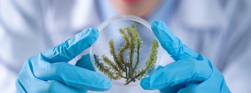 Photo by Chokniti Khongchum on Pexels