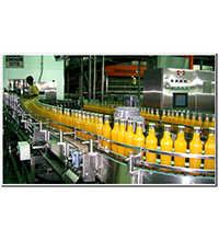 Bottle Inverter Machine for Cap Sterilization
