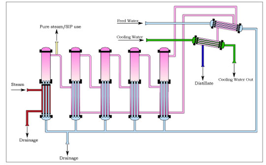 Pure Steam Generator