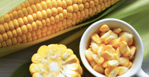 Corn processing equipment